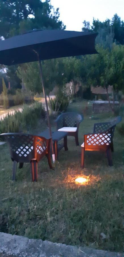 Il Glicine Bed and Breakfast Κιέτι Εξωτερικό φωτογραφία